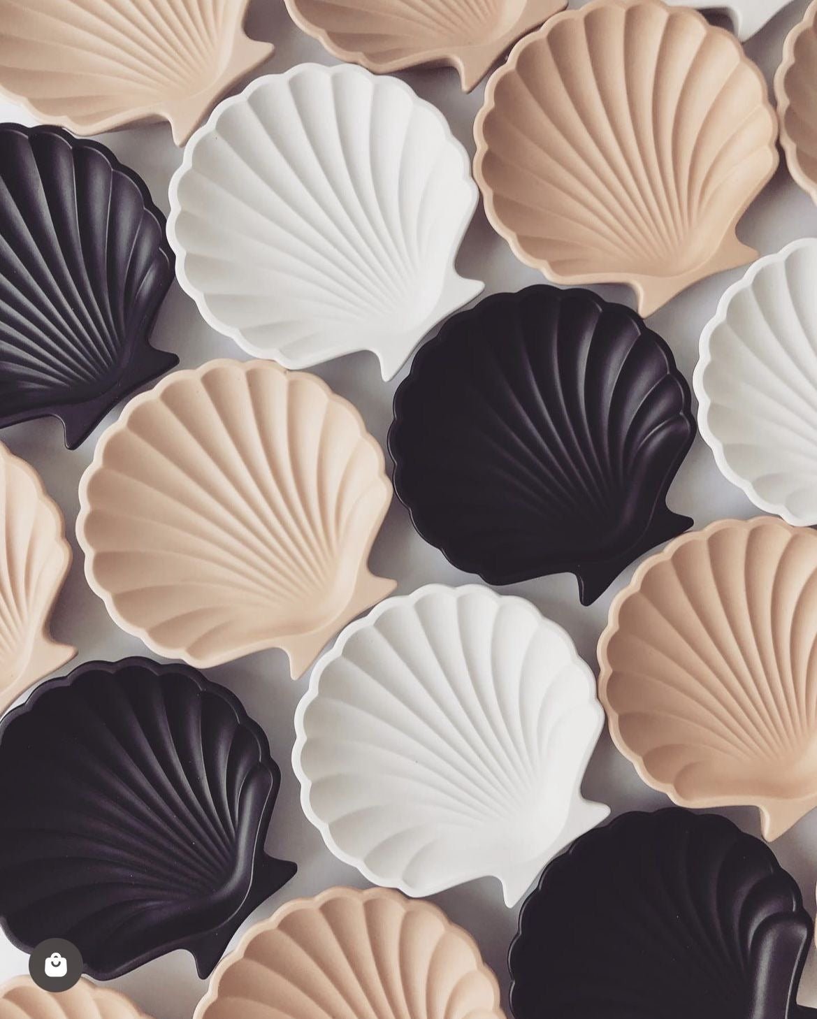 shell trays