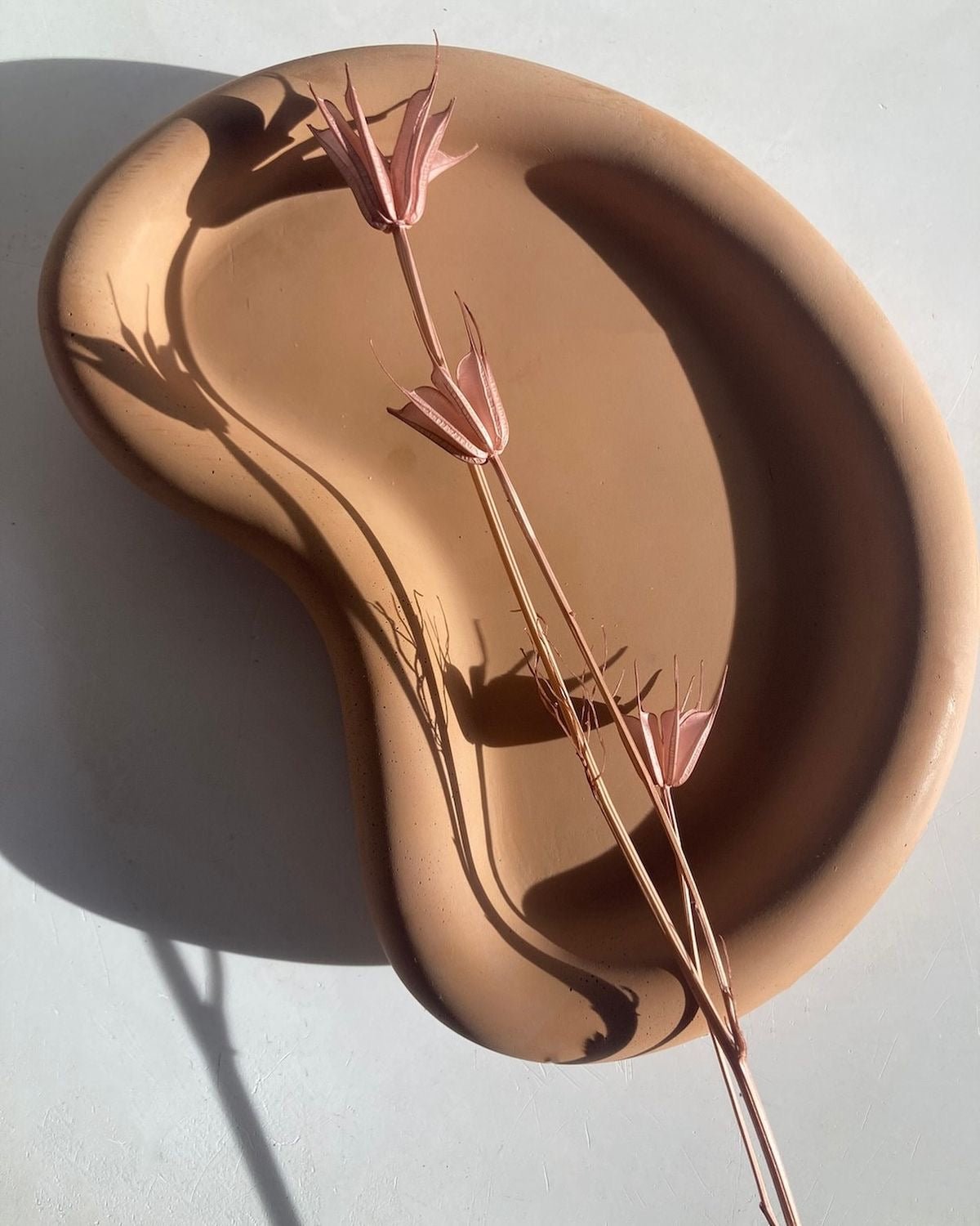 Luna tray