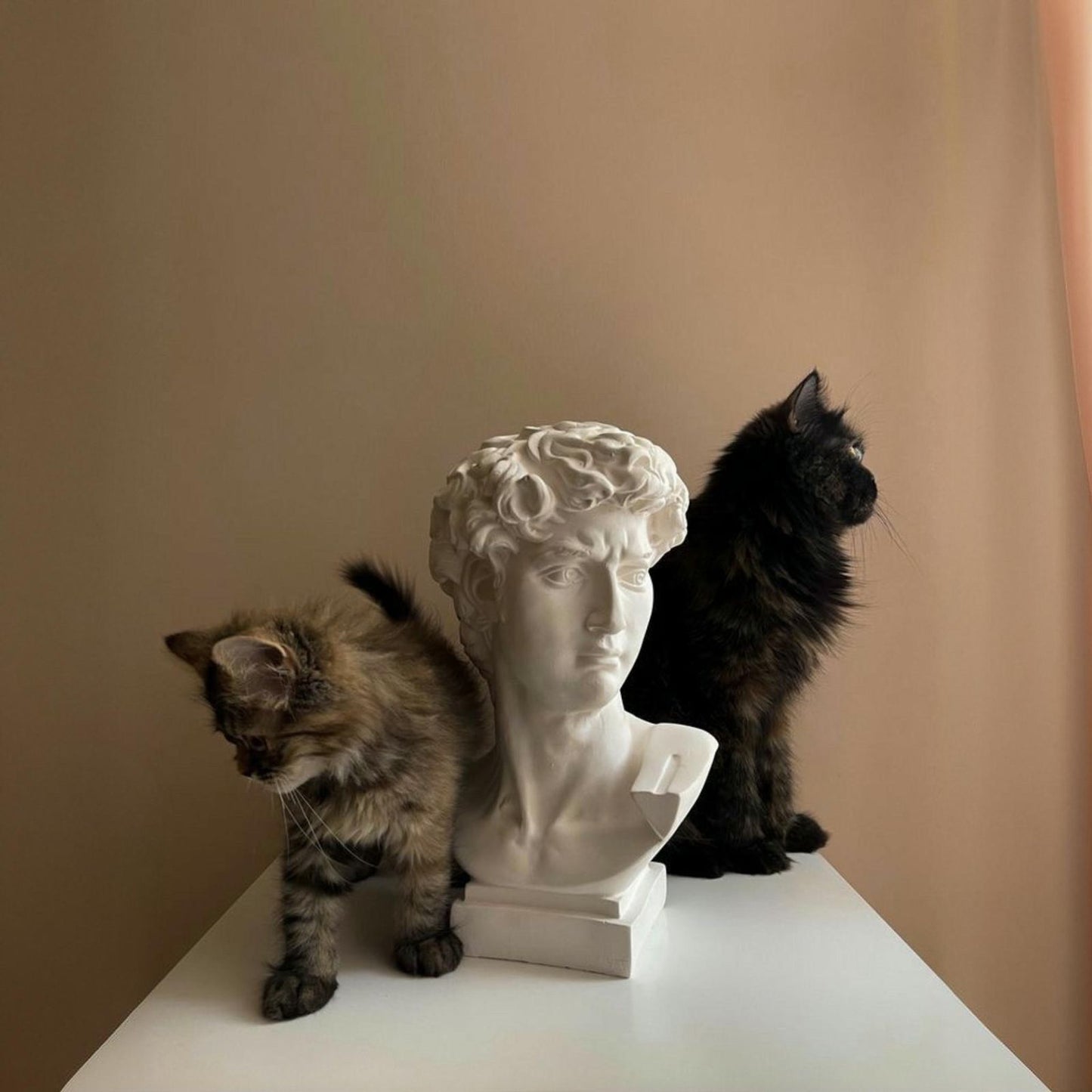 David Vase