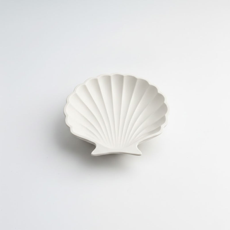shell trays