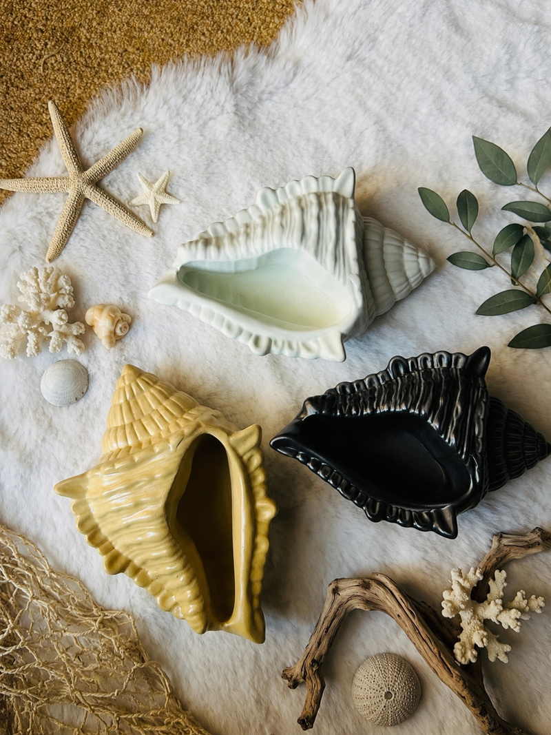 Conch Shell Decoration Piece