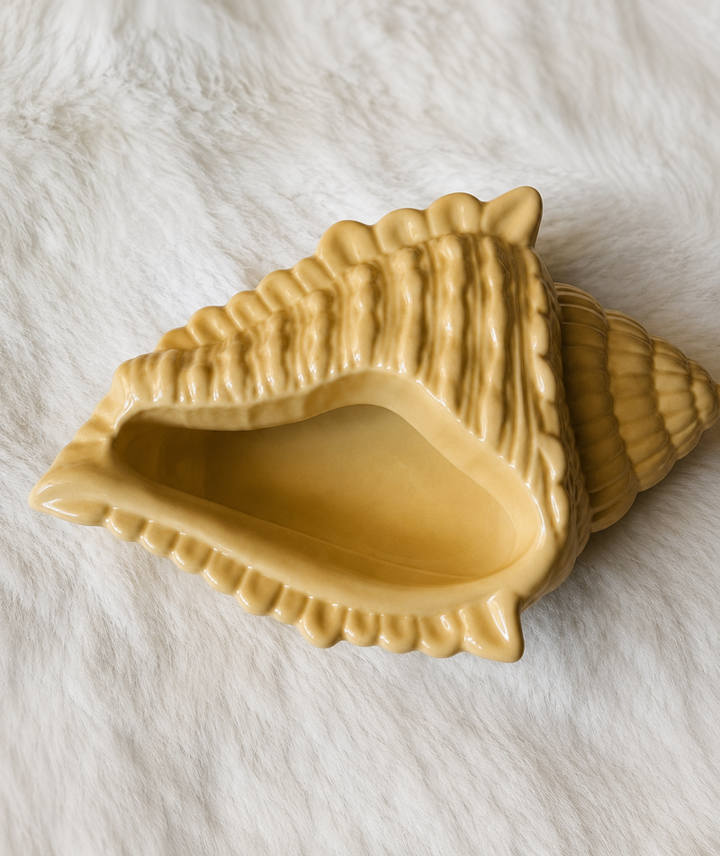 Conch Shell Decoration Piece